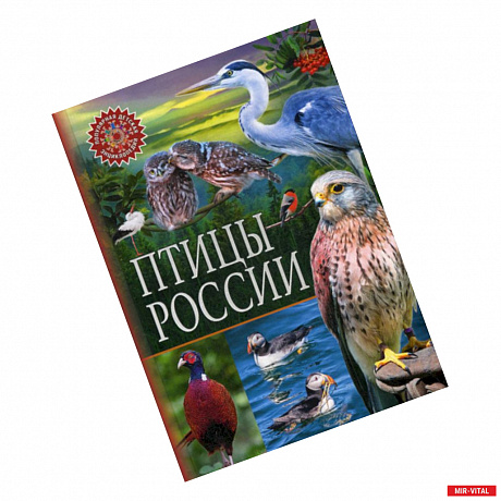 Фото Птицы России