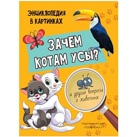 Зачем котам усы?