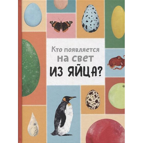 Фото Кто появляется на свет из яйца?