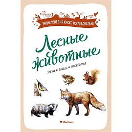Лесные животные.Звери,птицы,насекомые