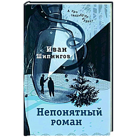 Непонятный роман