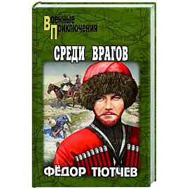 Среди врагов