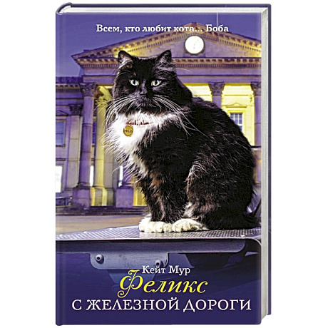 Фото Феликс с железной дороги
