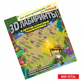 3D-лабиринты и другие классные головоломки