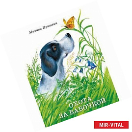 Охота за бабочкой