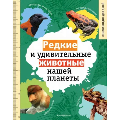 Фото Редкие и удивительные животные нашей планеты