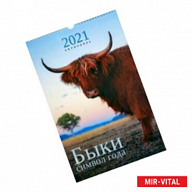Календарь на 2021 год одноблочный средний 'Символ года. Дизайн 3' (КПВС2103)