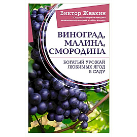 Виноград, малина, смородина. Богатый урожай любимых ягод в саду