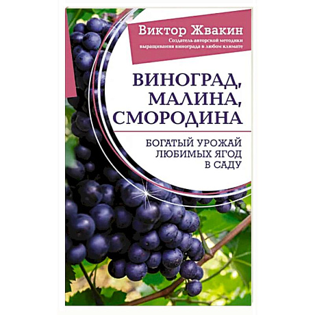 Фото Виноград, малина, смородина. Богатый урожай любимых ягод в саду