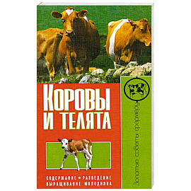 Коровы и телята. Содержание. Разведение. Выращивание молодняка