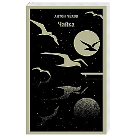 Чайка