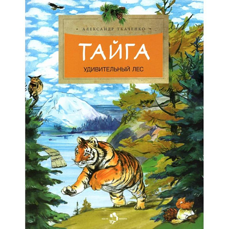 Фото Тайга. Удивительный лес