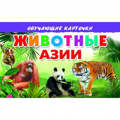 Фото Карточки. Животные Азии