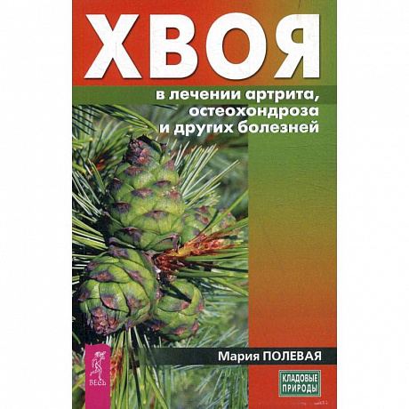 Фото Хвоя в лечении артрита, остеохондроза и других болезней (3712). Полевая Мария