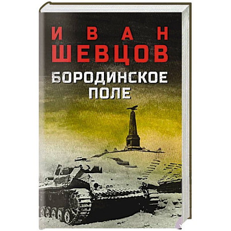 Фото Бородинское поле