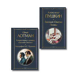 Расшифрованный Евгений Онегин (набор из 2 книг: Евгений Онегин, Комментарии к роману «Евгений Онегин». Биография А. С. Пушкина)