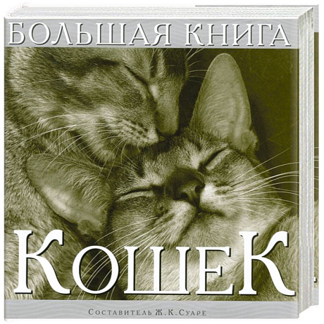 Фото Большая книга кошек