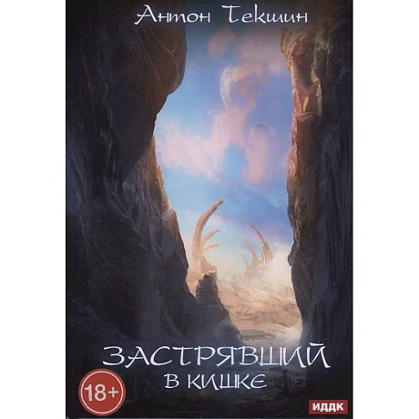 Фото Застрявший. Книга 3. Застрявший в Кишке