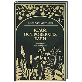 Край островерхих елей
