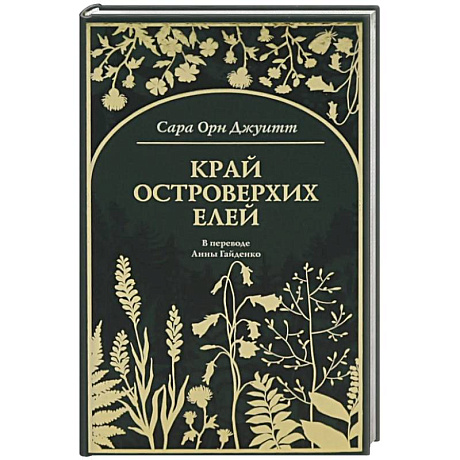 Фото Край островерхих елей
