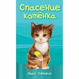 Спасение котенка