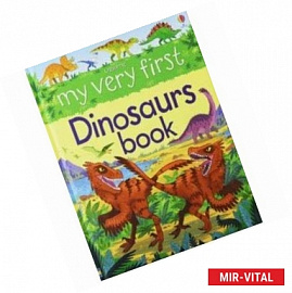 My Very First Dinosaurs Book