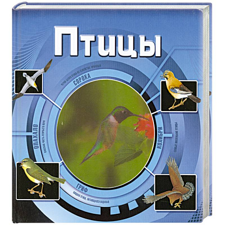 Фото Птицы