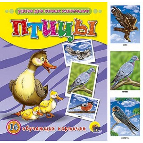 Фото Обучающие карточки. Птицы