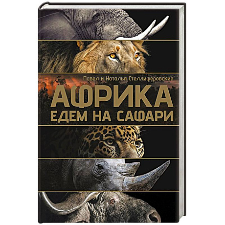 Фото Африка. Едем на сафари