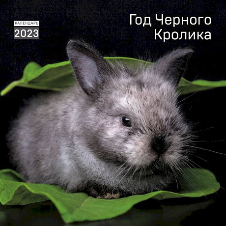Фото Год черного кролика. Календарь настенный на 2023 год (300х300 мм)