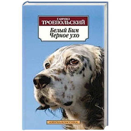 Фото Белый Бим Черное ухо