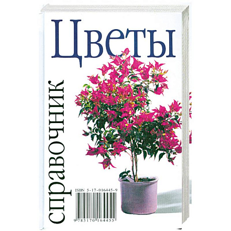 Фото Цветы