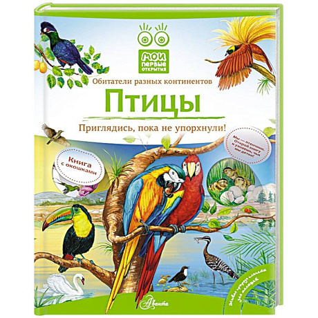 Фото Птицы