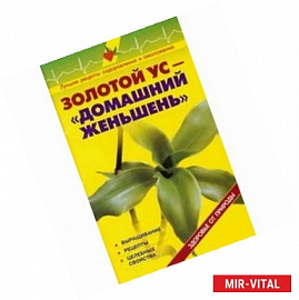 Золотой ус - домашний женьшень
