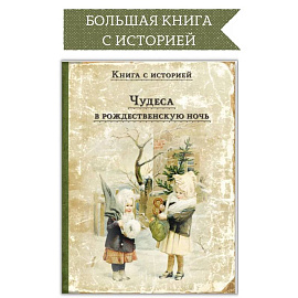 Чудеса в рождественскую ночь