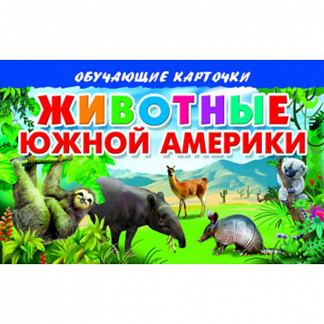 Фото Карточки. Животные Южной Америки