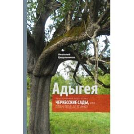 Неопознанная педагогика. Адыгея. Черкесские сады, или Плач под лезгинку