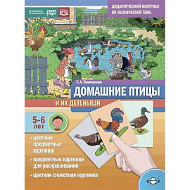Домашние птицы и их детеныши. Дидактический материал по лексической теме. С 5 до 6 лет
