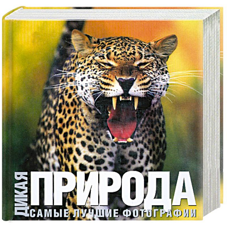 Фото Дикая природа: Самые лучшие фотографии