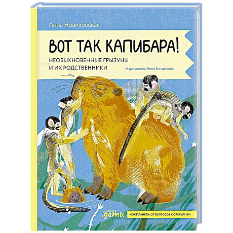 Фото Вот так капибара : необыкновенные грызуны и их родственники