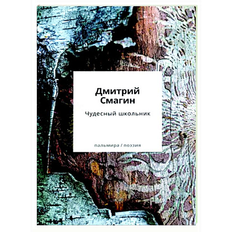 Фото Чудесный школьник: сборник стихотворений
