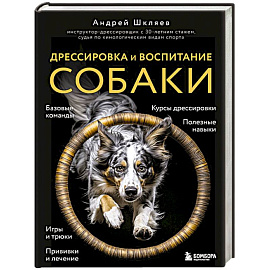 Дрессировка и воспитание собаки