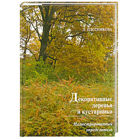 Декоративные деревья и кустарники.