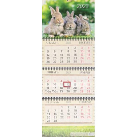 Календарь квартальный на 2023 год Солнечные зайчики