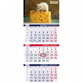 Календарь на 2020 год квартальный трехблочный 'Эконом. Знак года' (3Кв1гр3_20508)