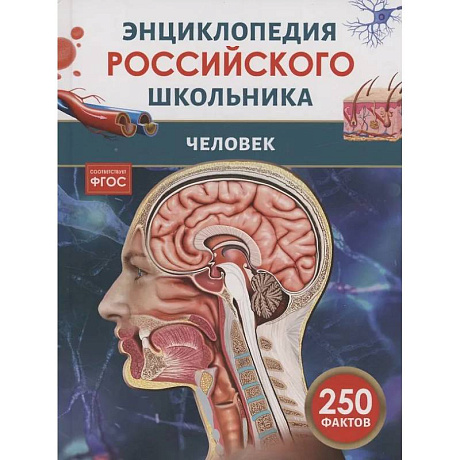 Фото Человек