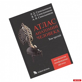 Атлас анатомии человека В 4-х томах. Том 3. Учение о сосудах и лимфоидных органах