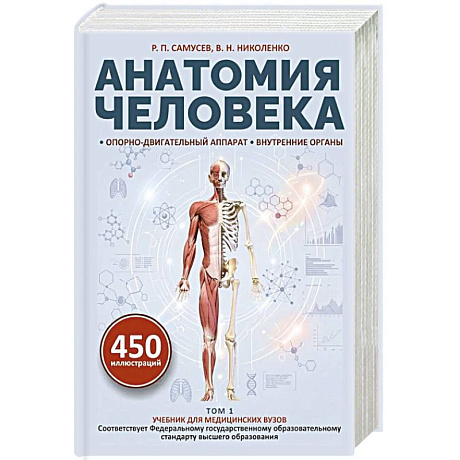 Фото Анатомия человека. Опорно-двигательный аппарат, внутренние органы