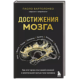 Достижения мозга. Как этот орган стал самой сложной и влиятельной частью тела человека