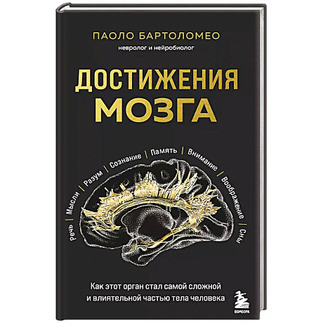 Фото Достижения мозга. Как этот орган стал самой сложной и влиятельной частью тела человека